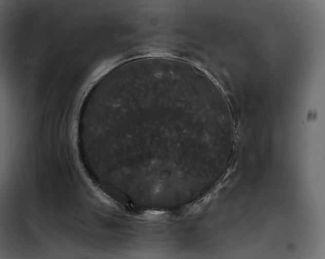 X0000102530055200808081501