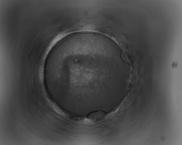 X0000102530056200808081501