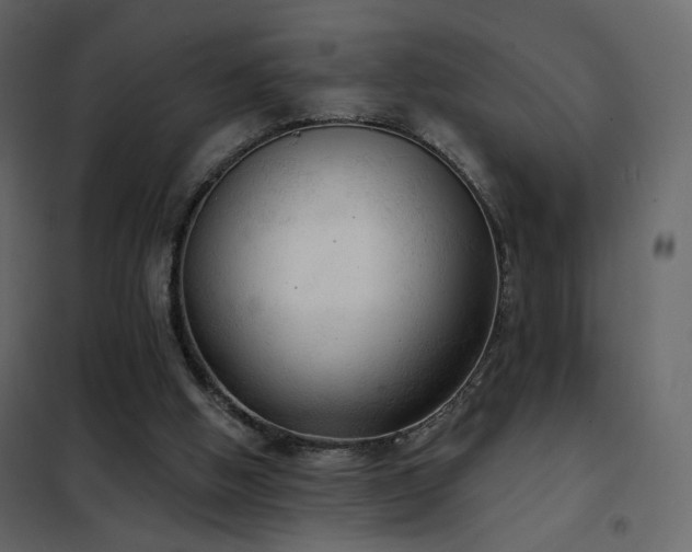 X0000102530058200808081501