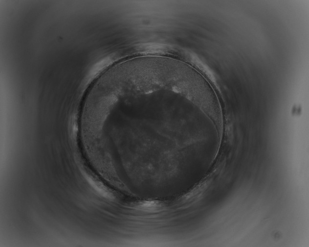 X0000102530059200808081501