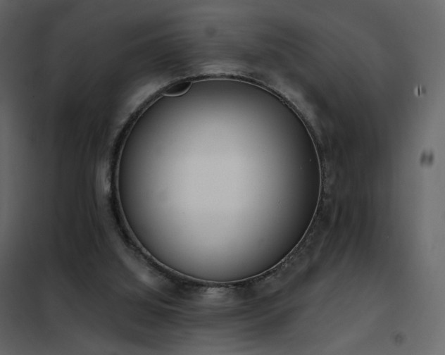 X0000102530060200808081501