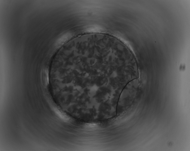 X0000102530061200808081501