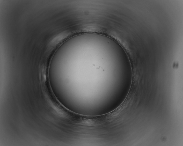 X0000102530062200808081501