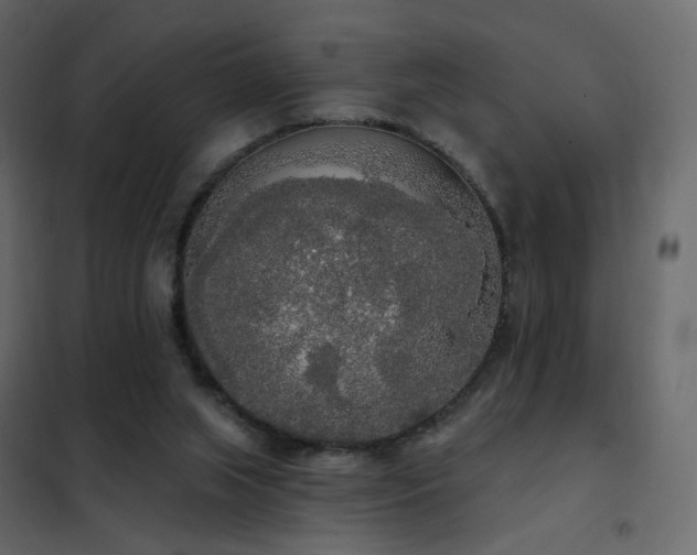 X0000102530063200808081501