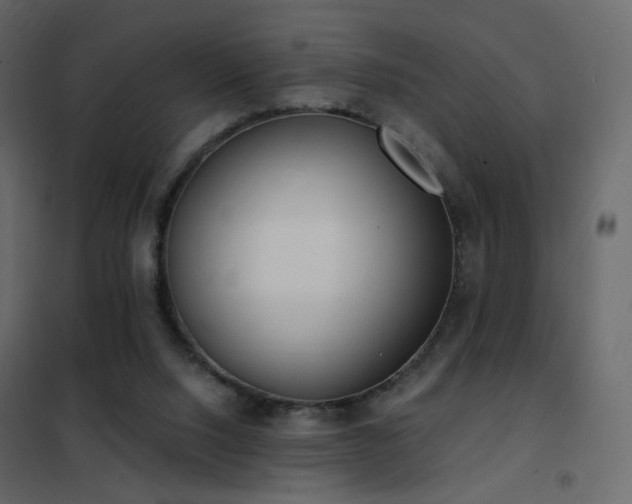 X0000102530064200808081501