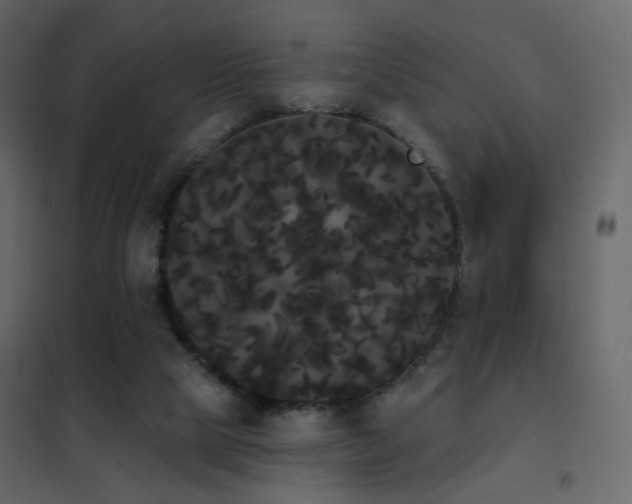 X0000102530065200808081501