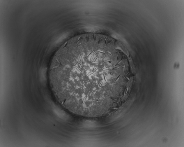 X0000102530066200808081501