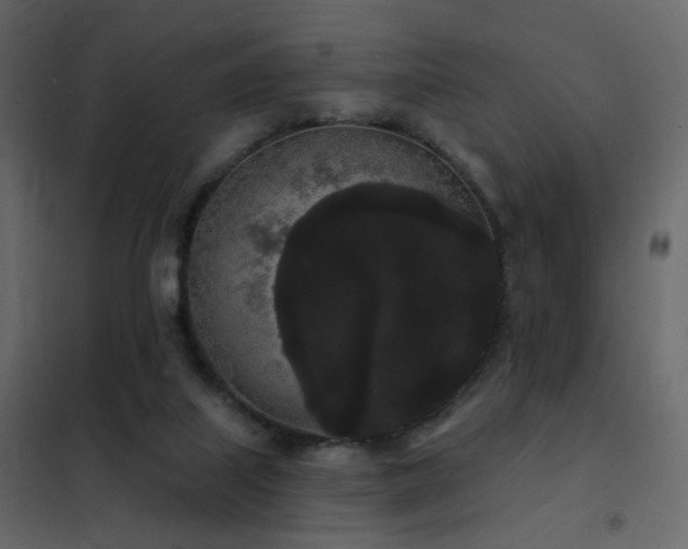 X0000102530067200808081501