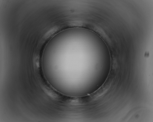 X0000102530068200808081501