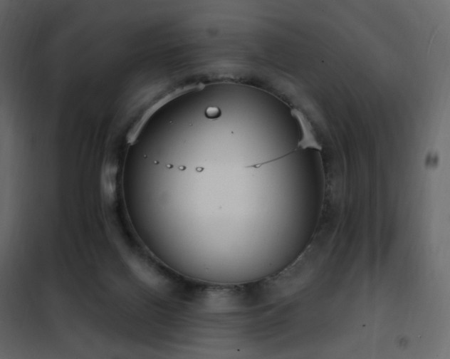 X0000102530070200808081501