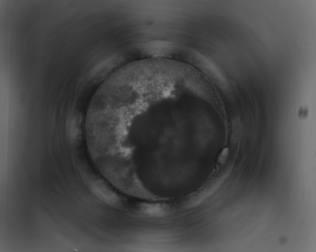 X0000102530073200808081502