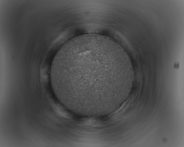 X0000102530074200808081502