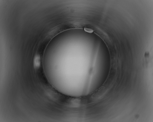 X0000102530075200808081502