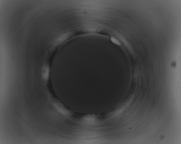 X0000102530076200808081502