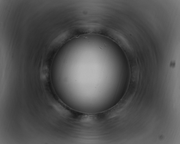 X0000102530077200808081502