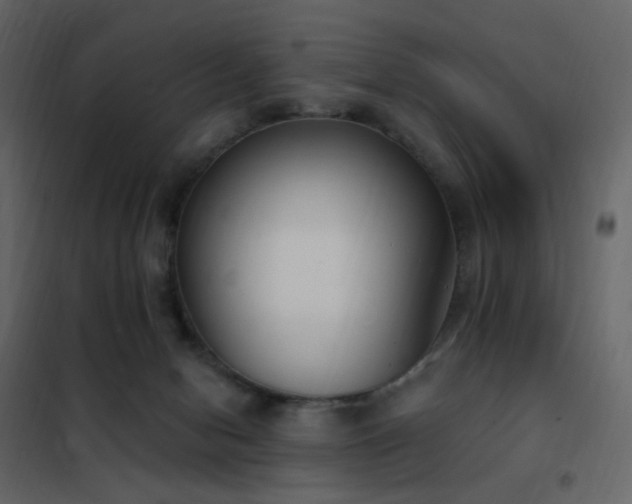 X0000102530078200808081502