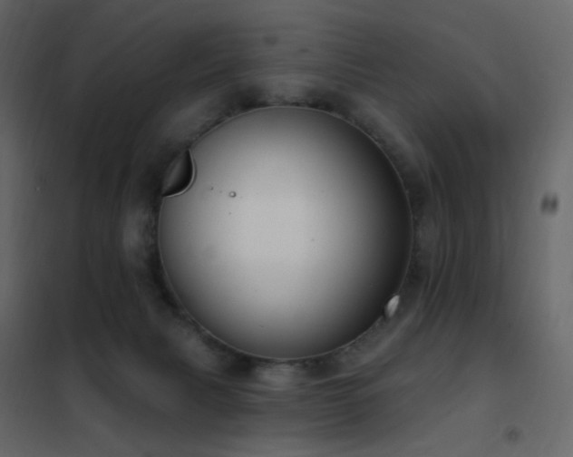 X0000102530079200808081502