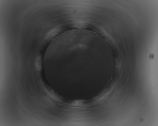 X0000102530080200808081502