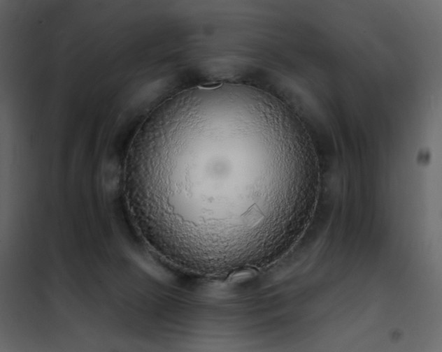 X0000102530081200808081502