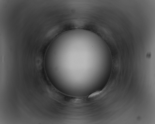 X0000102530082200808081502