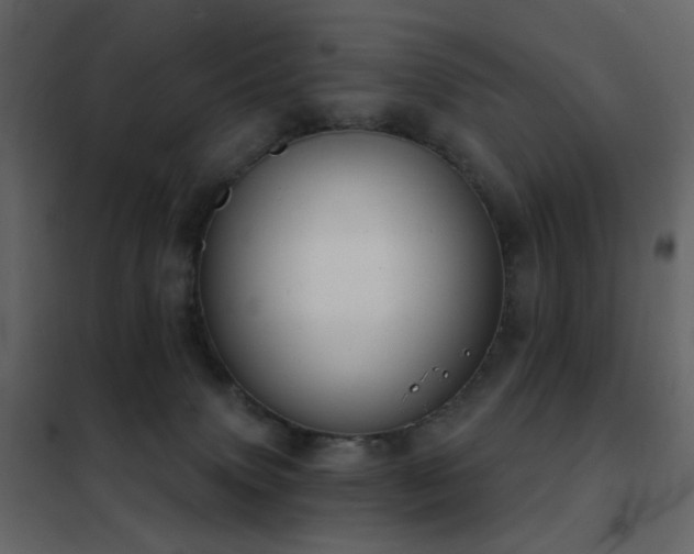 X0000102530083200808081502