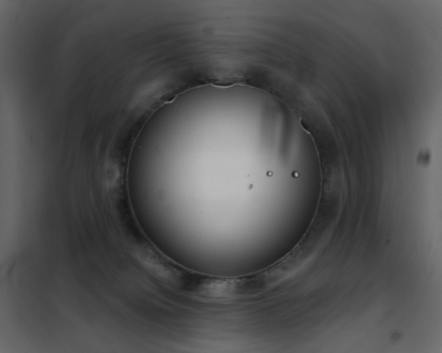 X0000102530084200808081502