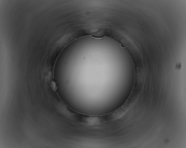 X0000102530085200808081502