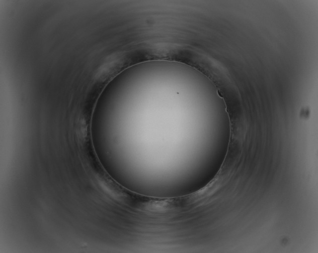 X0000102530086200808081502