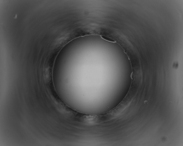 X0000102530088200808081502