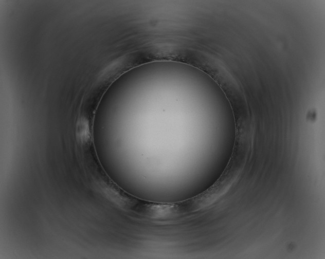 X0000102530089200808081502