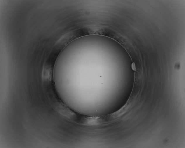 X0000102530090200808081502