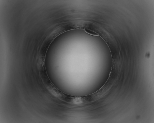 X0000102530091200808081502