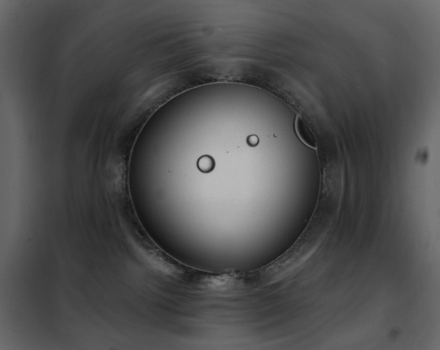 X0000102530092200808081502