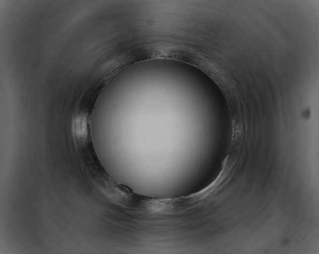 X0000102530094200808081502