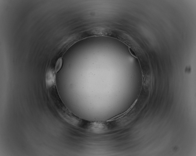 X0000102530095200808081502