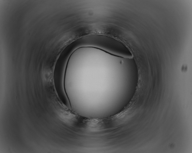 X0000102530096200808081502