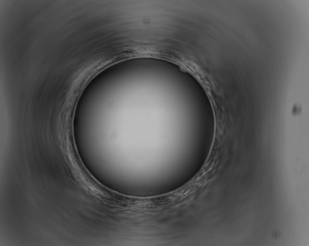 X0000102530097200808081501