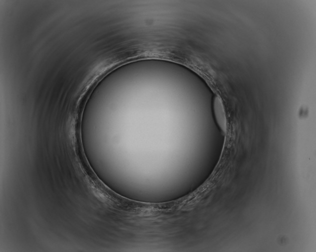 X0000102530098200808081501