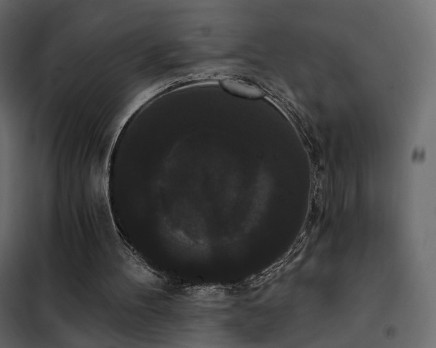 X0000102530100200808081501
