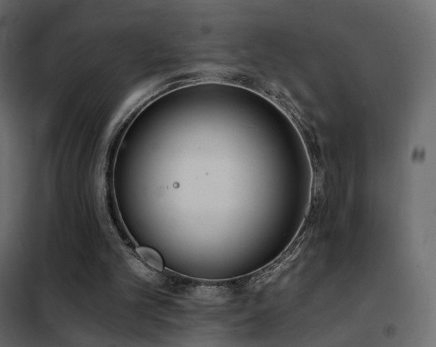 X0000102530101200808081501
