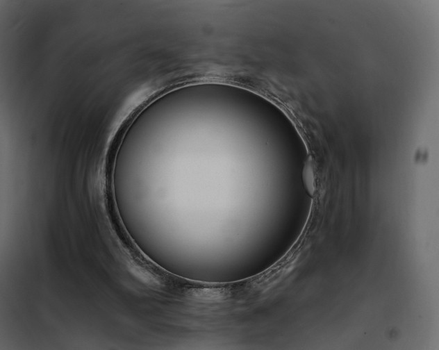 X0000102530102200808081501