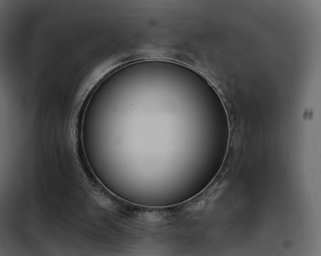 X0000102530103200808081501