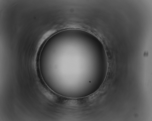 X0000102530104200808081501