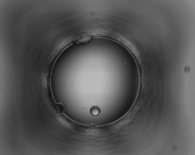 X0000102530105200808081501