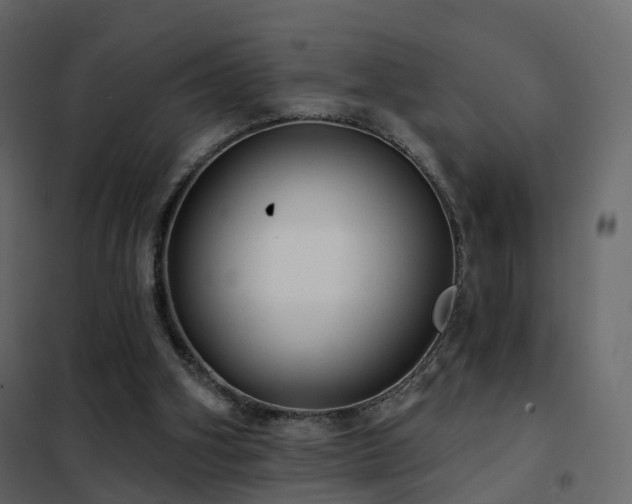 X0000102530106200808081501