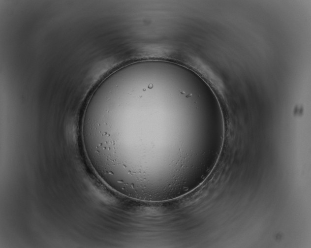 X0000102530107200808081501