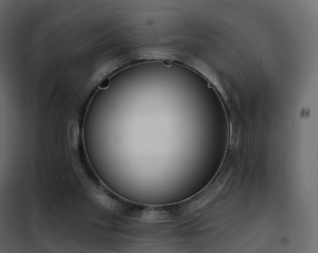 X0000102530109200808081501