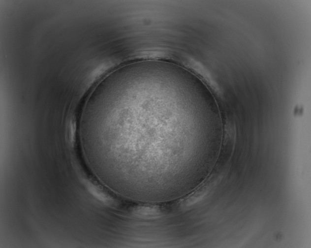 X0000102530110200808081501