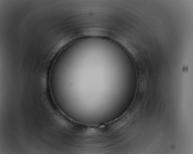 X0000102530111200808081501