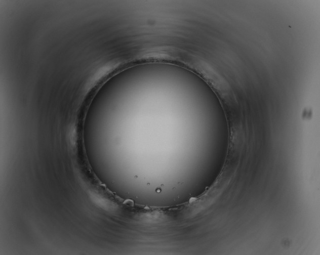 X0000102530112200808081501